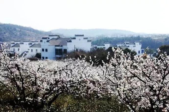 春运第一天，鹤峰开展暖冬行动，温暖旅客回家路